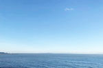 海