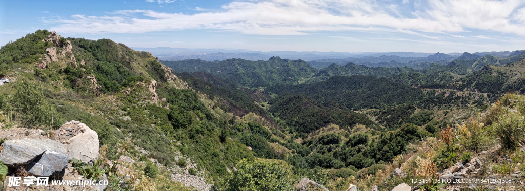 苍山如海