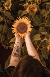花