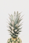 水果