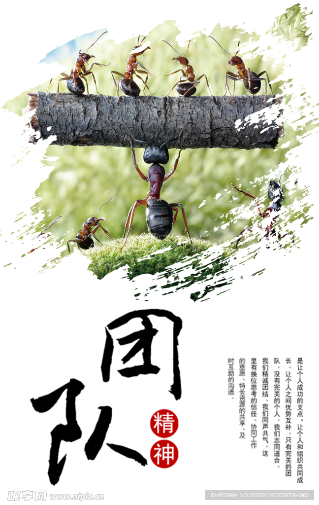 团队