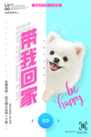动物领养中心