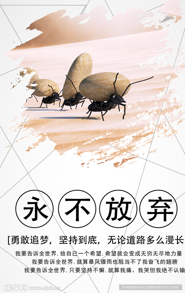 永不放弃