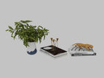 植物书本3d模型