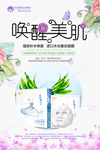 面膜