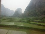山田