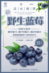 蓝莓