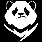 熊猫  电竞熊猫 黑白熊猫