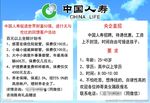 中国人寿