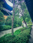 小路