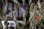 端午节粽子题材素材