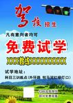 驾校招生