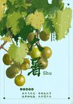 黄皮果