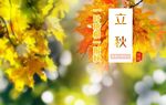 立秋