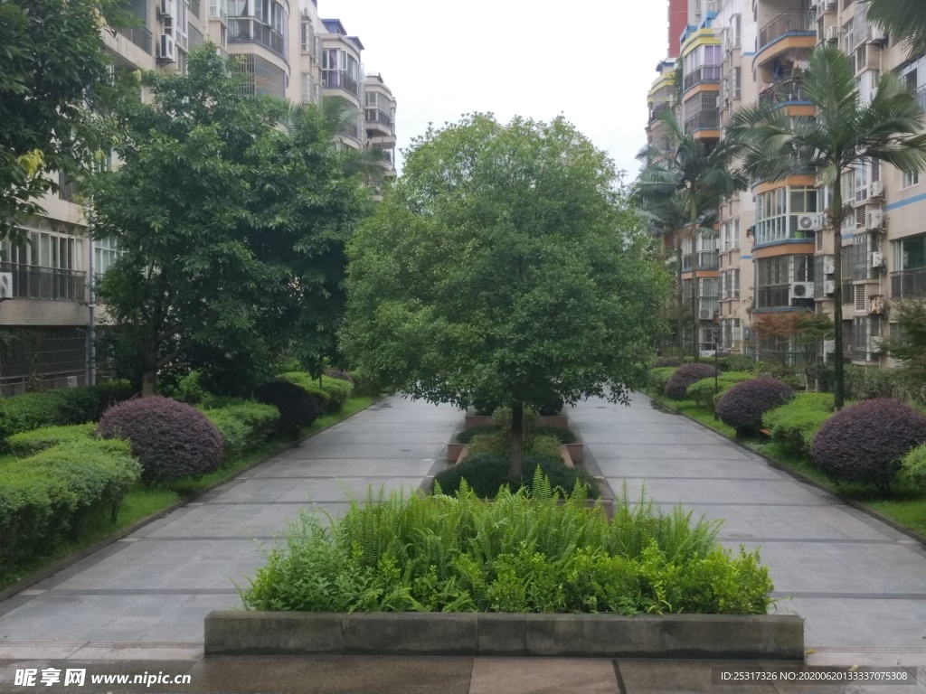 小区建筑绿化风景图