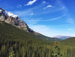 风景