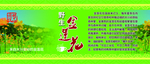 金莲花