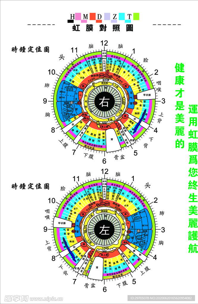 虹膜对照图