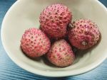 荔枝