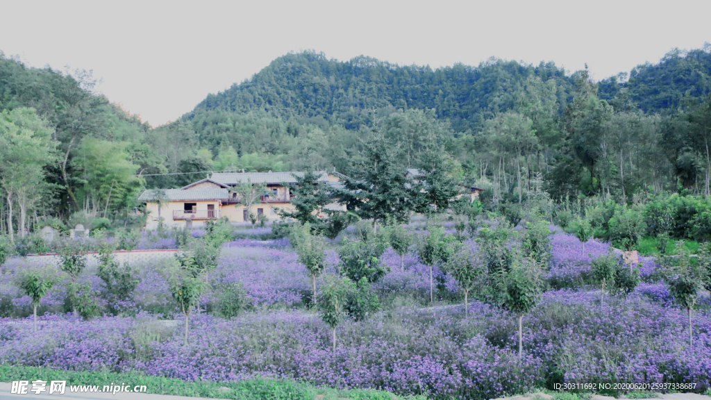 花间房屋