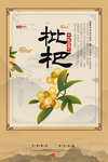 药材中药传统复古牛皮纸海报