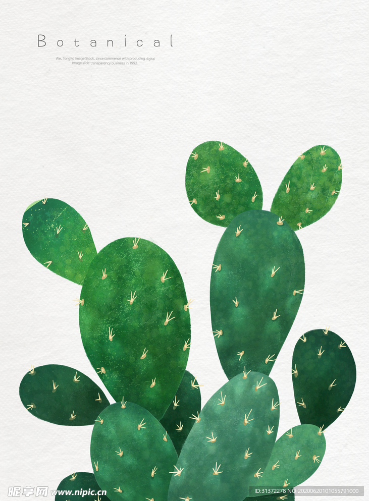 手绘绿色植物插画线稿图片
