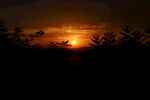 夕阳