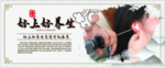 养生美容