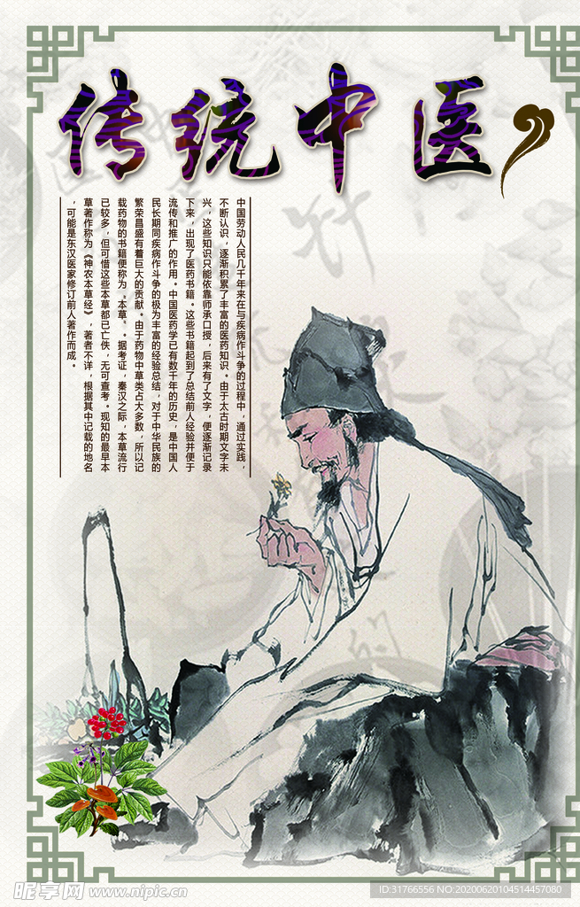 中医 养生 调养 生息  名医