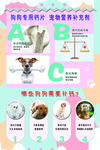 宠物海报 计 淘宝装修模板