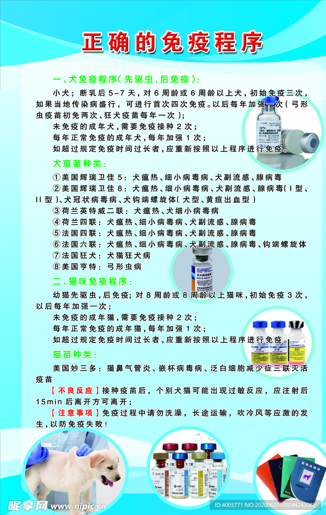 宠物医院海报