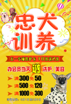 宠物店海报 宠物展架宠物 训养