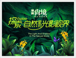 探索自然光影