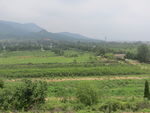 中岳庙与太室阙
