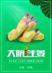 大院生姜