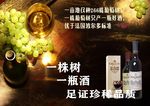 葡萄酒海报