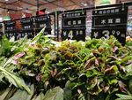 超市里的蔬菜