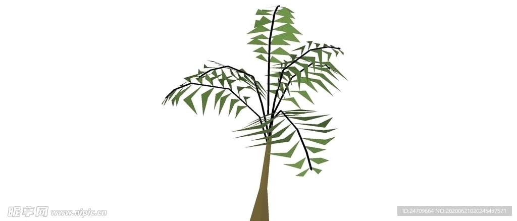 植物模型