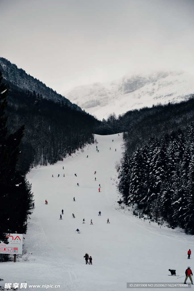 滑雪运动滑雪板图片