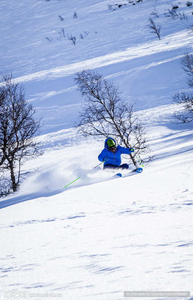 滑雪运动滑雪板图片