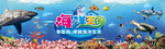 海洋王国零接触
