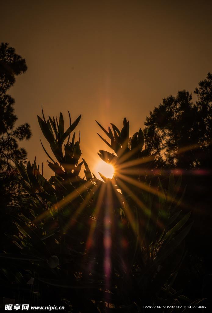 太阳光线