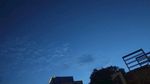 夜景
