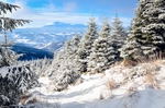 冬日雪景