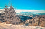 冬日雪景