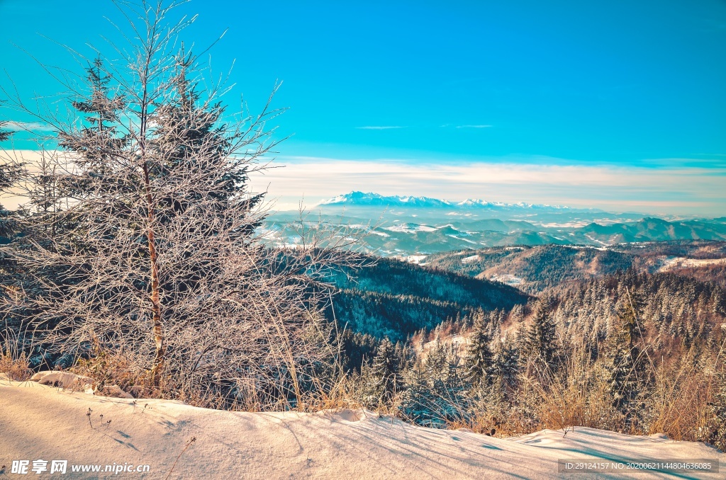 冬日雪景