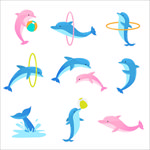 海豚