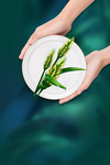 植物绿色清新插画卡通古风背景