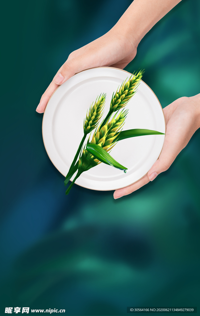 植物绿色清新插画卡通古风背景