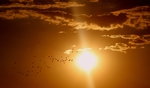 夕阳